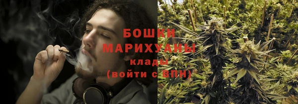 спайс Алзамай
