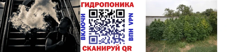 Шишки марихуана Ganja  купить наркотик  Городец 